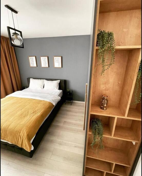 Minimalist Studio Apartment Braşov Buitenkant foto
